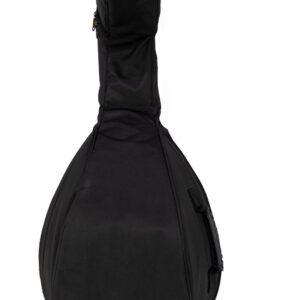 جلد عود ابردوزی نانو کوله ایی