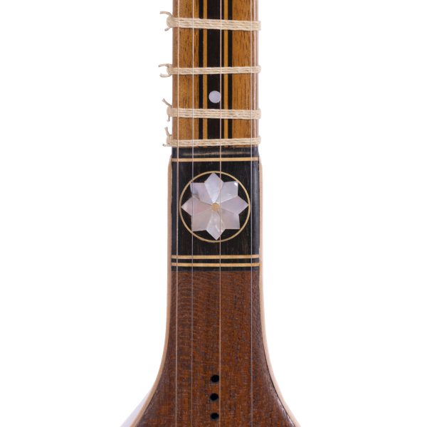 سه تار ارجینی ویژه