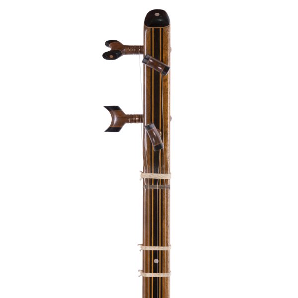 سه تار ارجینی ویژه