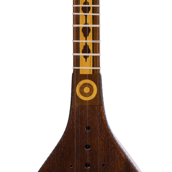 سه تار داوود فشی