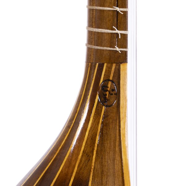 سه تار داوود فشی