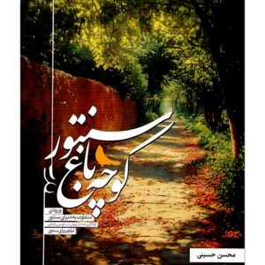 کوچه باغ سنتور محسن حسینی